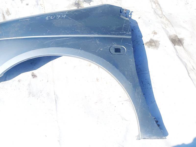 Renault Scenic 1998 Lokasuoja - EDESSÄ VASEMMALLA - Thumbnail 3