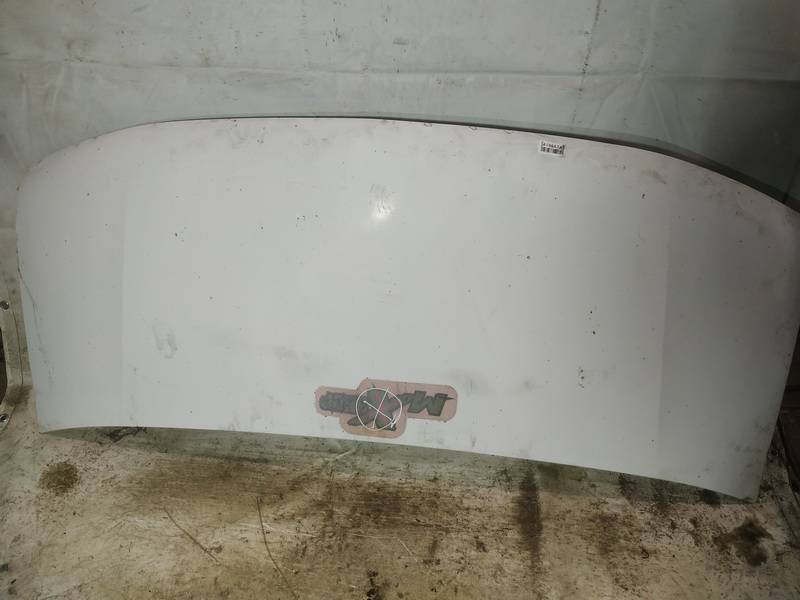 BALTAS Renault Master 2002 Hood - Thumbnail 2