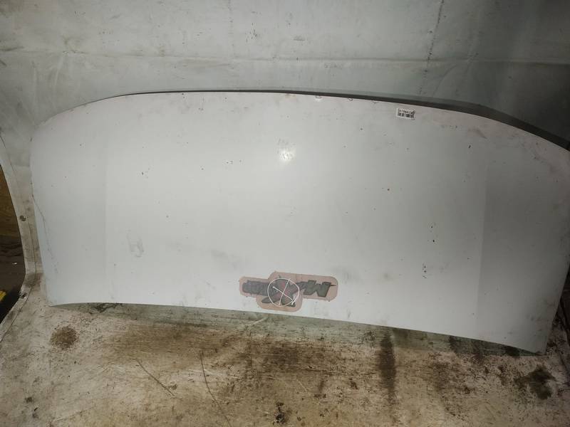 BALTAS Renault Master 2002 Hood