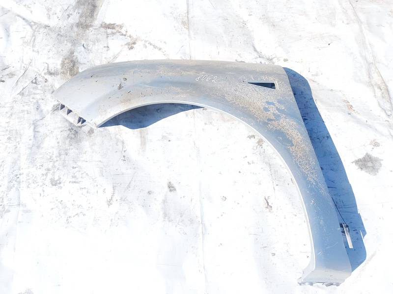 Renault Scenic 2003 Fender (Arch) - FRONT LEFT