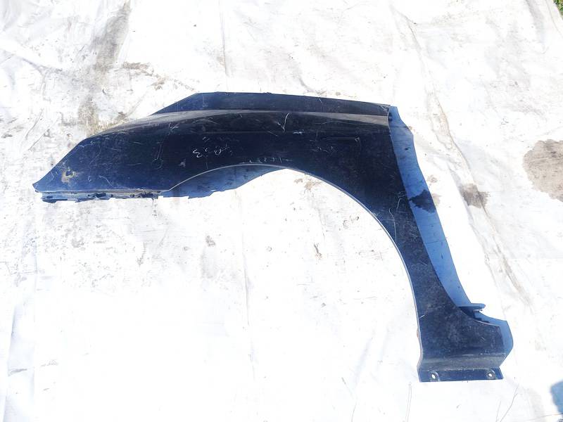 Renault Espace 2003 Radlauf Kotflügel Vorne links