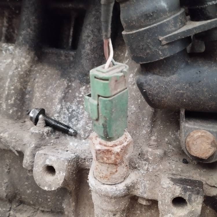 Citroen C3 2002 Czujnik oleju