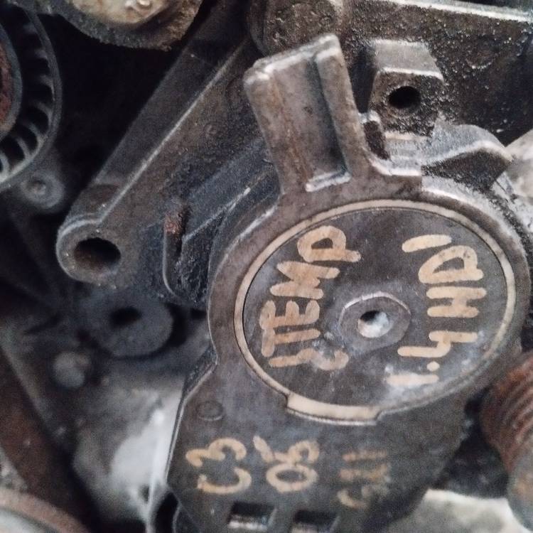 Citroen C3 2002 Napinacz paska (napinacz paska rozrządu) - Thumbnail 2