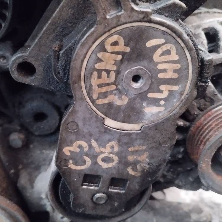 Citroen C3 2002 Napinacz paska (napinacz paska rozrządu)