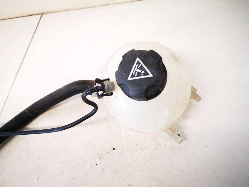 965431078001 Citroen C4 Picasso 2009 Tosolo bakelis (issipletimo ausinimo skyscio bakelis)