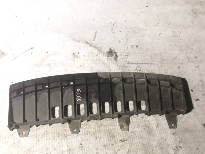 00201127043000100 Skoda Fabia 2009 Bottom protection
