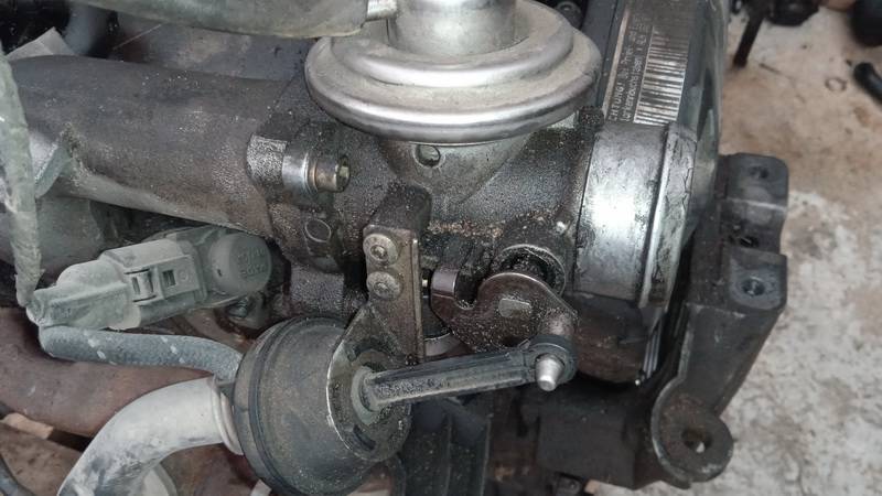 038131501E Skoda Octavia 1999 Zawór EGR