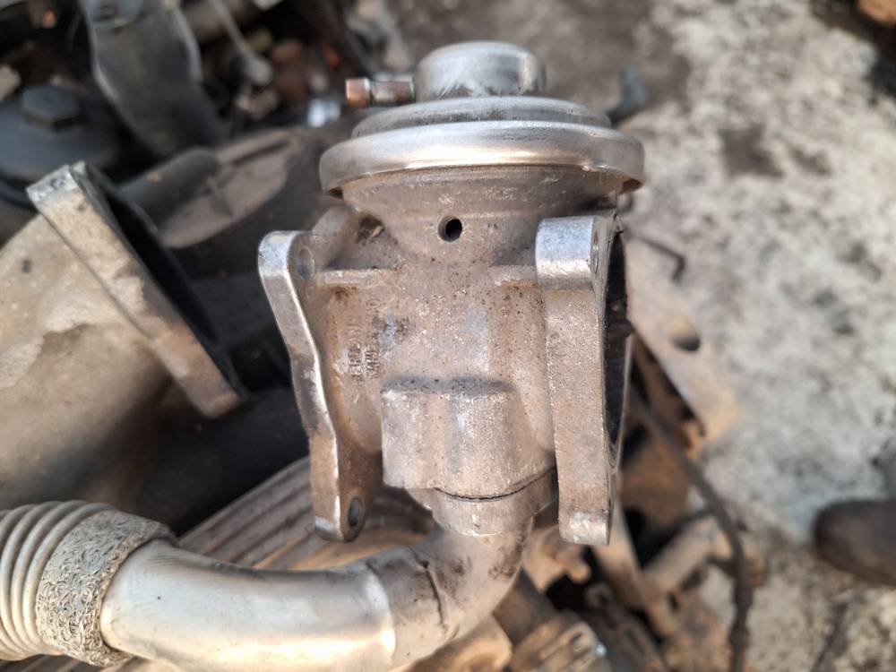 038131501AN Volkswagen Touran 2006 EGR-venttiili