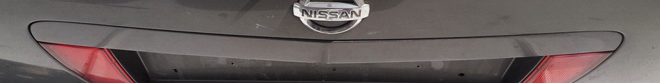 Nissan Primera 2002 Zewnętrzne wykończenie tylnej klapy (oświetlenie tablicy rejestracyjnej) - TYLNE