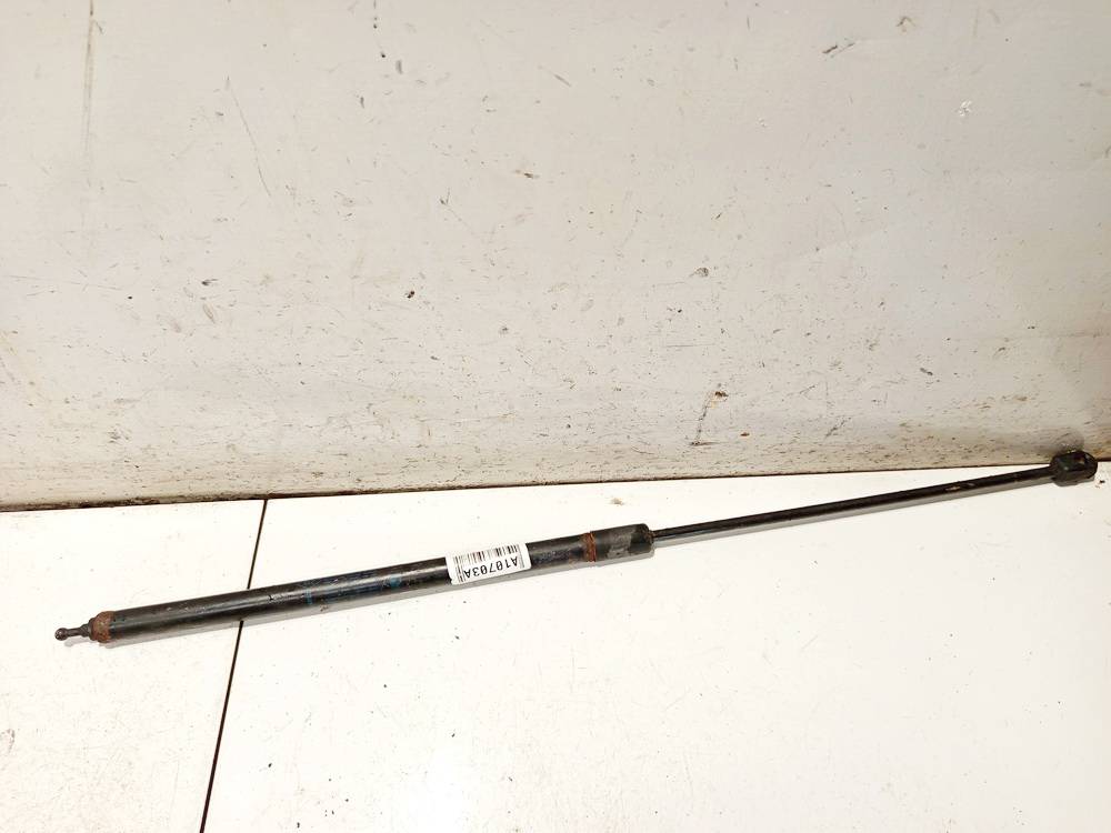 654710003R Renault Megane 2010 Trunk Luggage Shock Lift Cylinder, Gas Pressure Spring - REAR