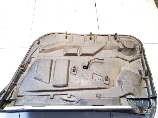 4B0863979 Audi A6 1998 Door Panel - FRONT LEFT - Thumbnail 3