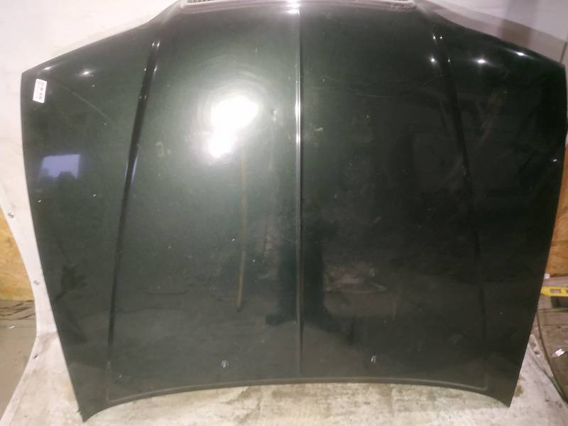 ZALIAS Rover 600-Series 1998 Hood