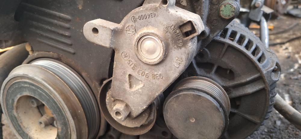 038903315 Audi A3 1996 Jostas spriegotājs (sadales jostas spriegotājs)