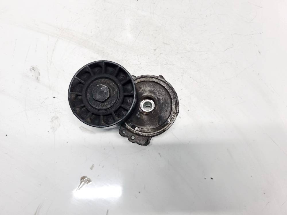 Ford Kuga 2008 Dirzo itempejas (Paskirstymo dirzo itempejas)