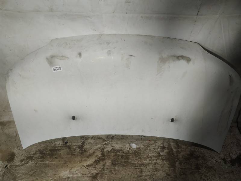 BALTAS Daihatsu Materia 2010 Hood