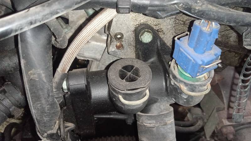 Volkswagen Passat 1998 Coolant Flange (Engine Coolant Thermostat Housing Cover)