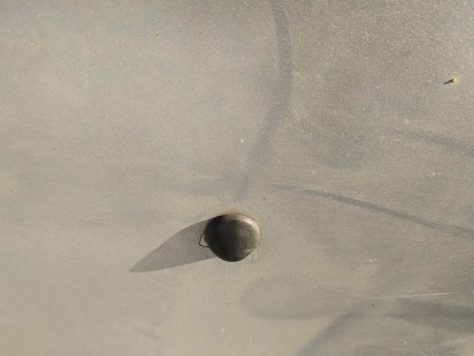 Opel Vectra 1998 Priekšējā stikla mazgāšanas sprausla