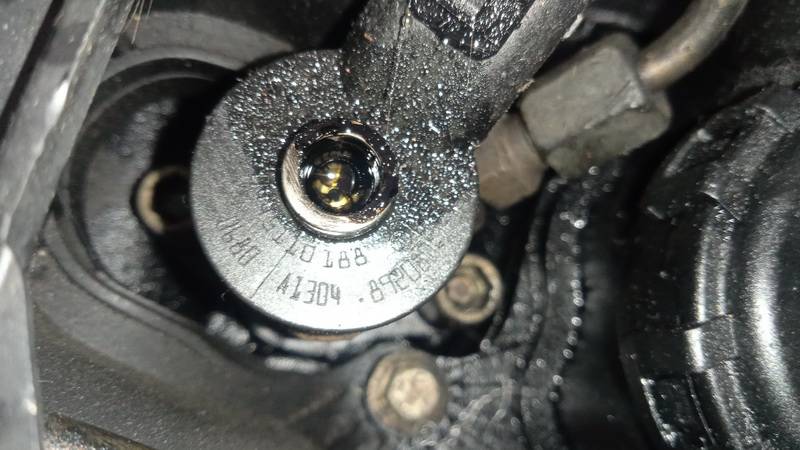 0445110188 Volvo V50 2005 Kuro purkstukas (forsunke) - Thumbnail 3