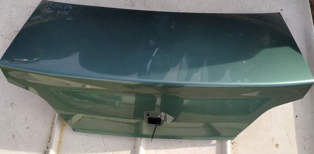 ZALIAS Peugeot 406 2000 Hood - REAR