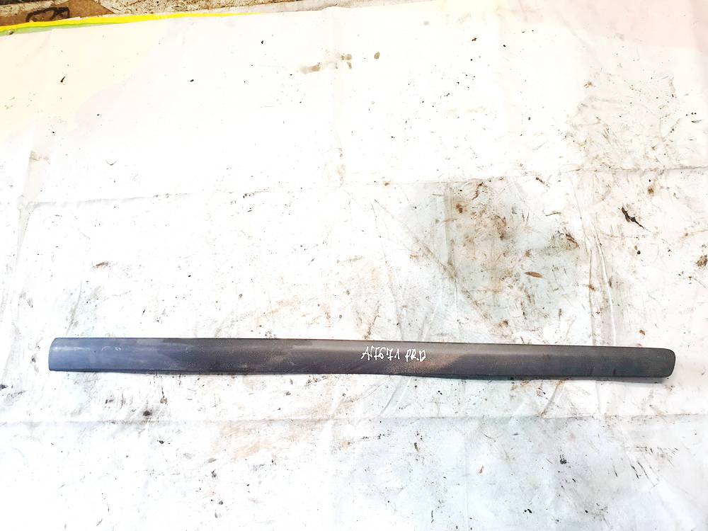 604853516 Volkswagen Polo 2005 Listón embellecedor de la puerta delantera (moldura) - DELANTERO DERECHO