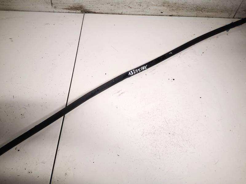 Volkswagen Passat 2008 Duru moldingas isorinis P.K.