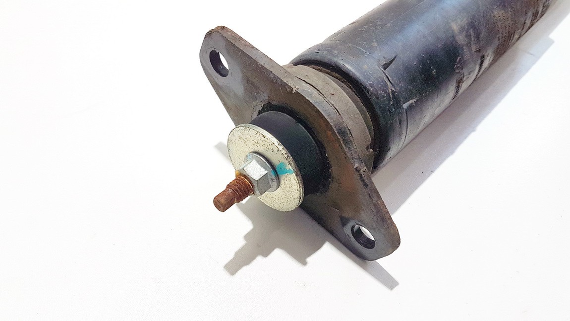 P04895513AC Chrysler 300C 2006 Shock Absorber - Suspension Strut Assembly - REAR RIGHT - Thumbnail 2