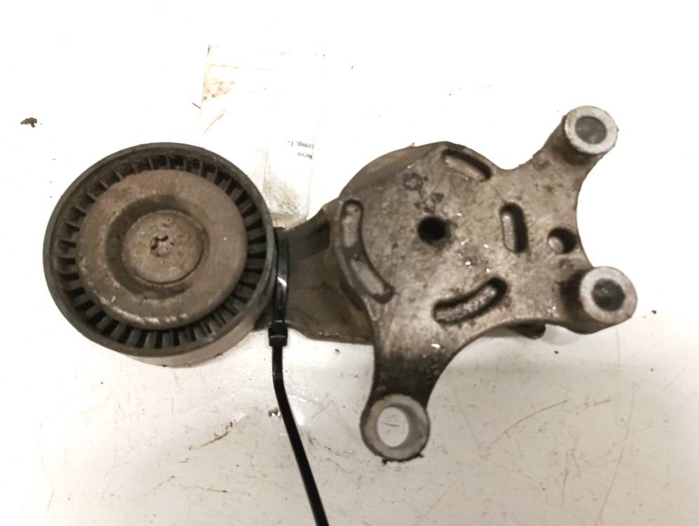 950007 Citroen C4 2006 Napinacz paska (napinacz paska rozrządu)