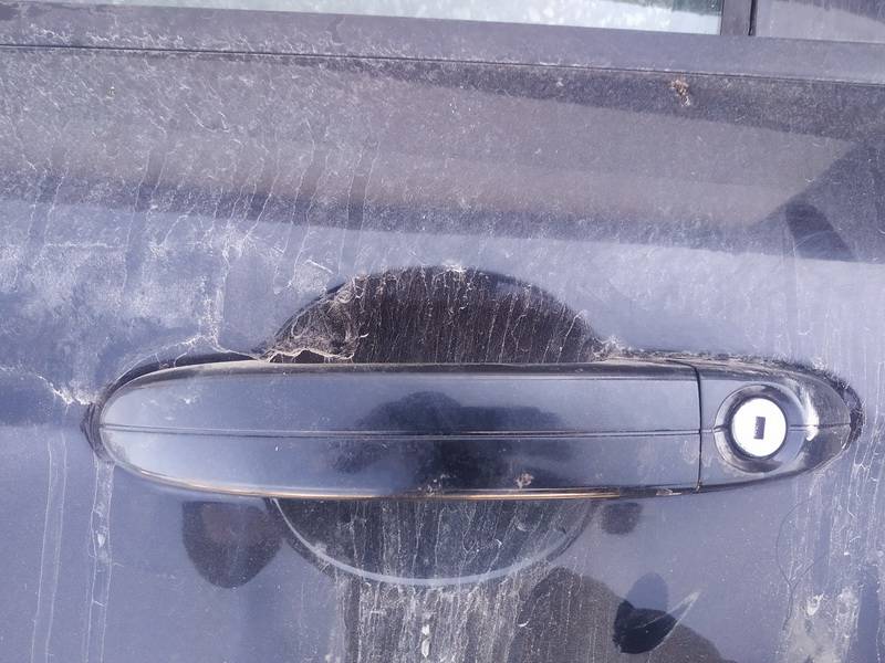 Ford S-Max 2006 Door Handle Exterior - FRONT LEFT