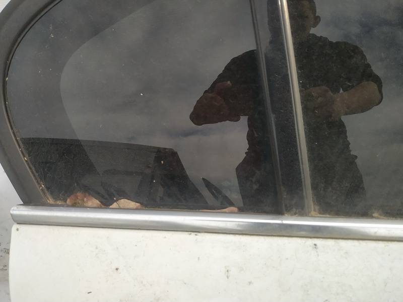 Renault Laguna 2009 Glass Trim Molding-weatherstripping - REAR RIGHT - Thumbnail 2