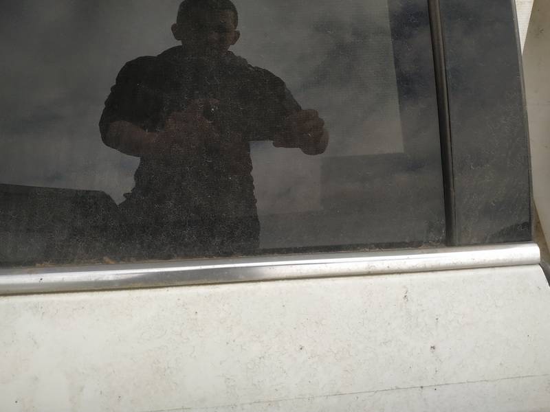 Renault Laguna 2009 Glass Trim Molding-weatherstripping - REAR RIGHT - Thumbnail 3