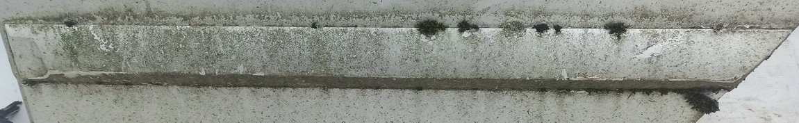 PILKA Opel Astra 2007 Molding door - REAR LEFT