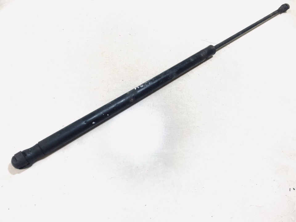 5010623108 Truck - Renault Midlum 2008 Hood Support (strut hood) - FRONT