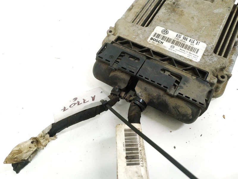 03G906016BT Volkswagen Touran 2004 ECU Engine Computer (Engine Control Unit) - Thumbnail 2