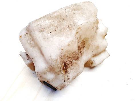 8200104706F Renault Scenic 2007 Windshield Washer Reservoir tank (WASHER BOTTLE)