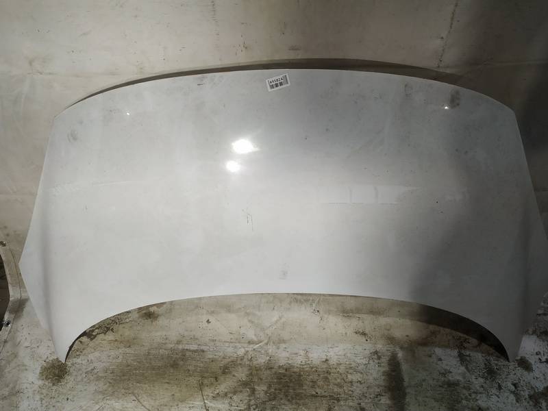 BALTAS Renault Scenic 2011 Hood