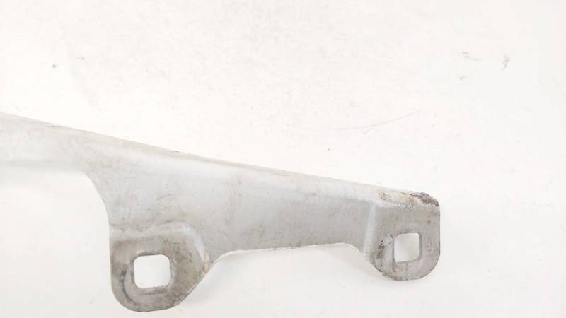 654010001R Renault Laguna 2009 Motora pārsega eņģe - PRIEKŠA PA KREISI - Thumbnail 3