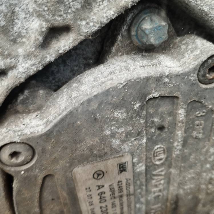 A6402300365 Mercedes-Benz A-CLASS 2005 Vakuumpumpe - Thumbnail 2