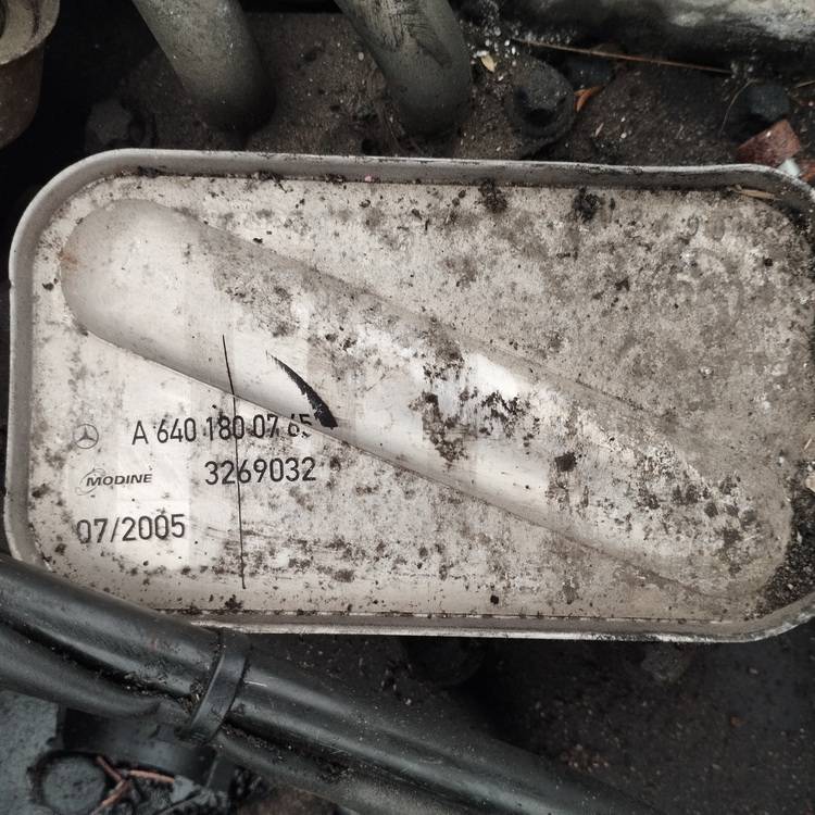 A640180765 Mercedes-Benz A-CLASS 2005 Eļļas dzesētājs