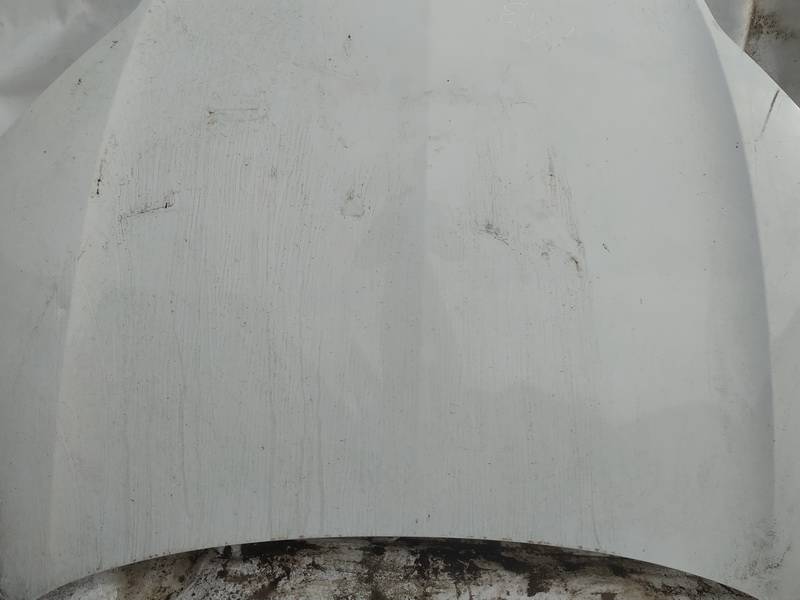 BALTAS Renault Laguna 2008 Motora pārsegi - Thumbnail 2