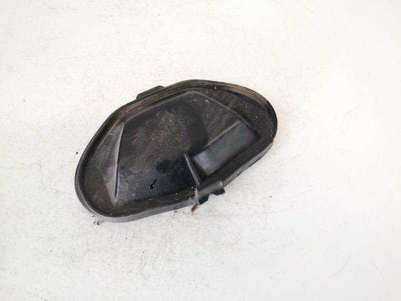 15619200 Opel Signum 2003 Luktura spuldzes putekļu vāciņš