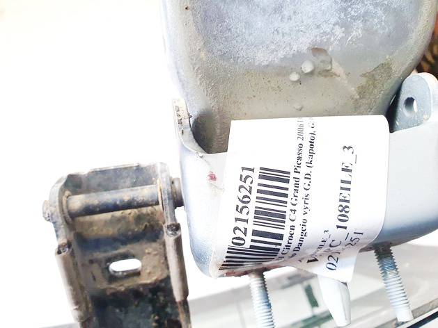 Citroen C4 Grand Picasso 2006 Hood Hinges - REAR RIGHT - Thumbnail 3