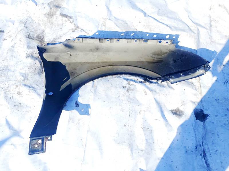 Opel Signum 2004 Radlauf Kotflügel Vorne links - Thumbnail 4