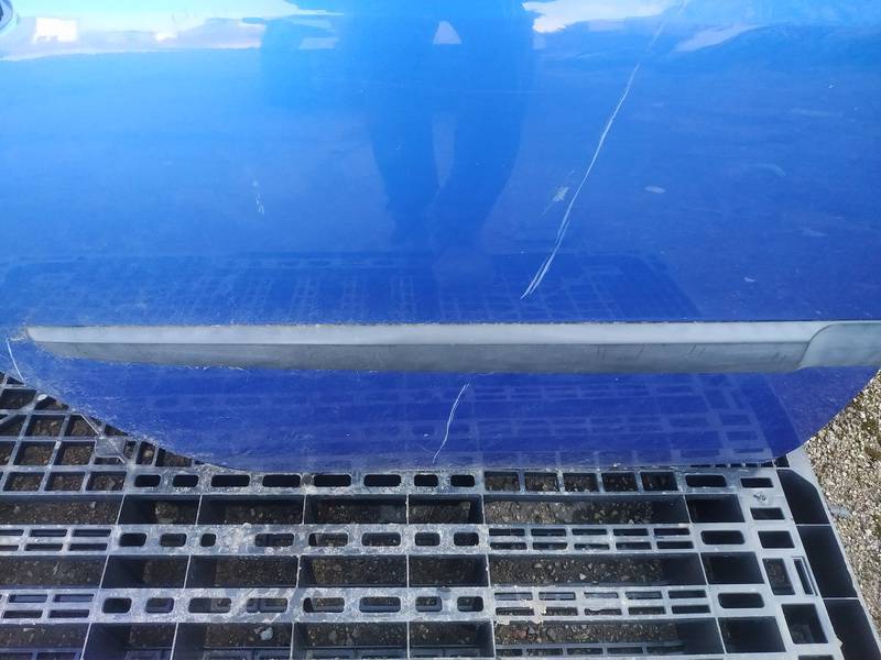 Renault Grand Scenic 2006 Zewnętrzna listwa drzwi - TYLNE PRAWE