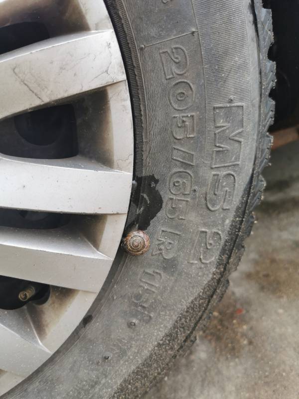 5X98 Peugeot 807 2006 Teräsvanne Kokoonpano R15 - Thumbnail 6