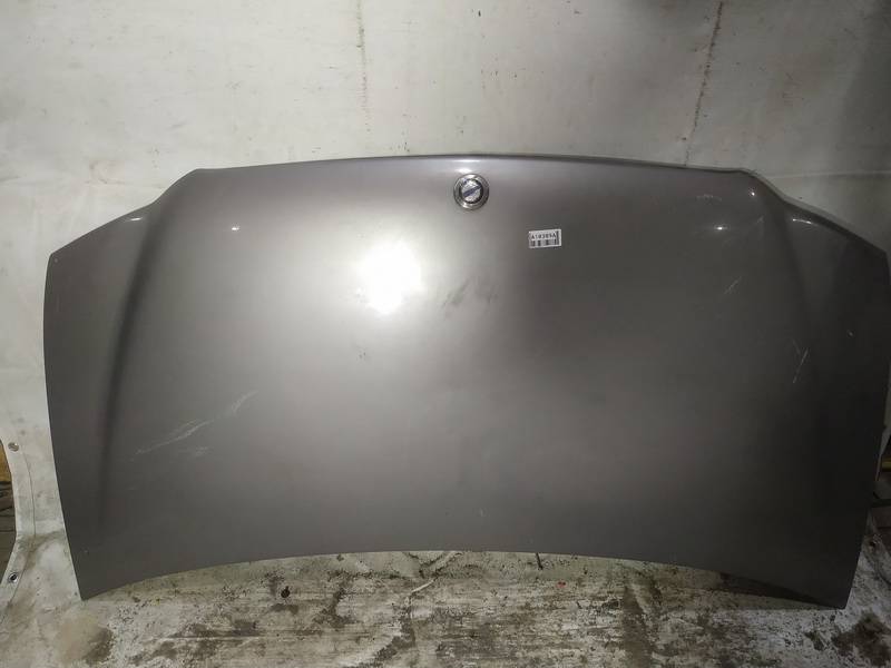 PILKAS Chrysler Voyager 1999 Hood