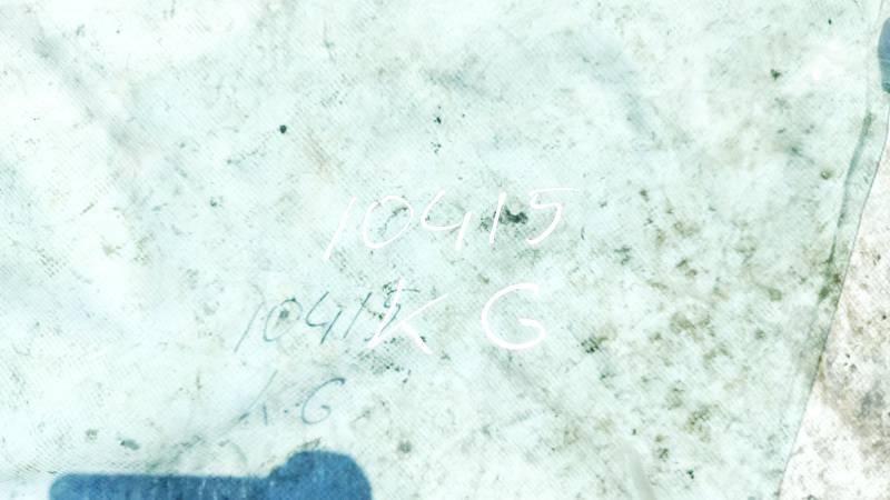 AS2 Renault Scenic 2000 Durvju stikls - AIZMUGURE PA KREISI - Thumbnail 3