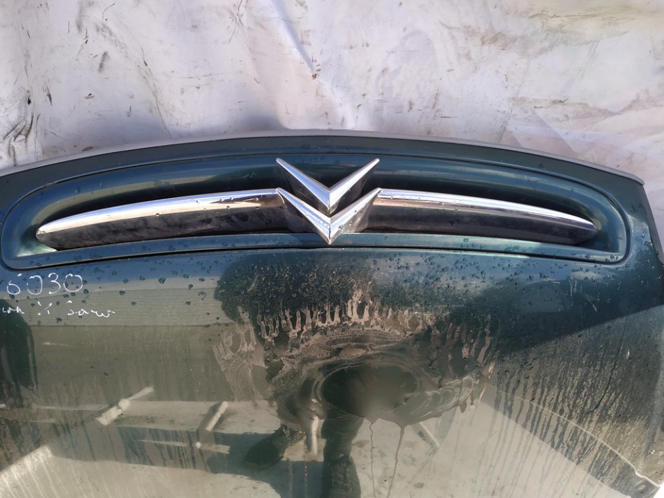 Citroen Xsara Picasso 2000 Hood grille - FRONT