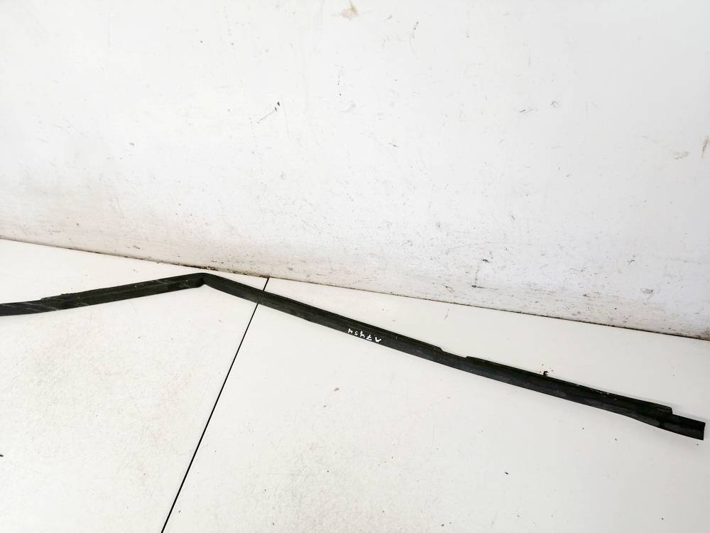 BMW 3-Series 2002 Glass Trim Molding-weatherstripping - REAR RIGHT
