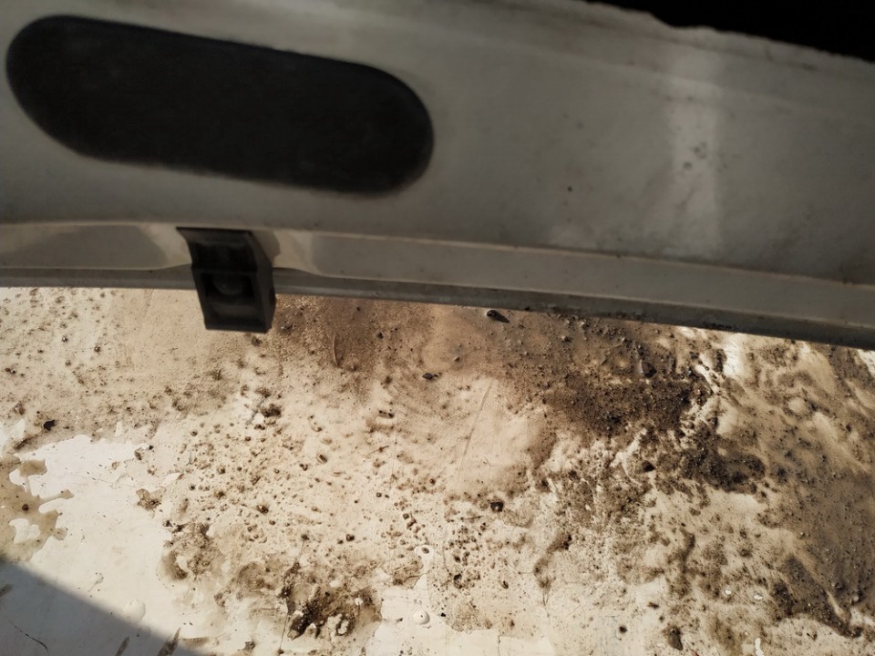 Volkswagen Bora 2002 Priekinio stiklo apiplovimo purkstukas