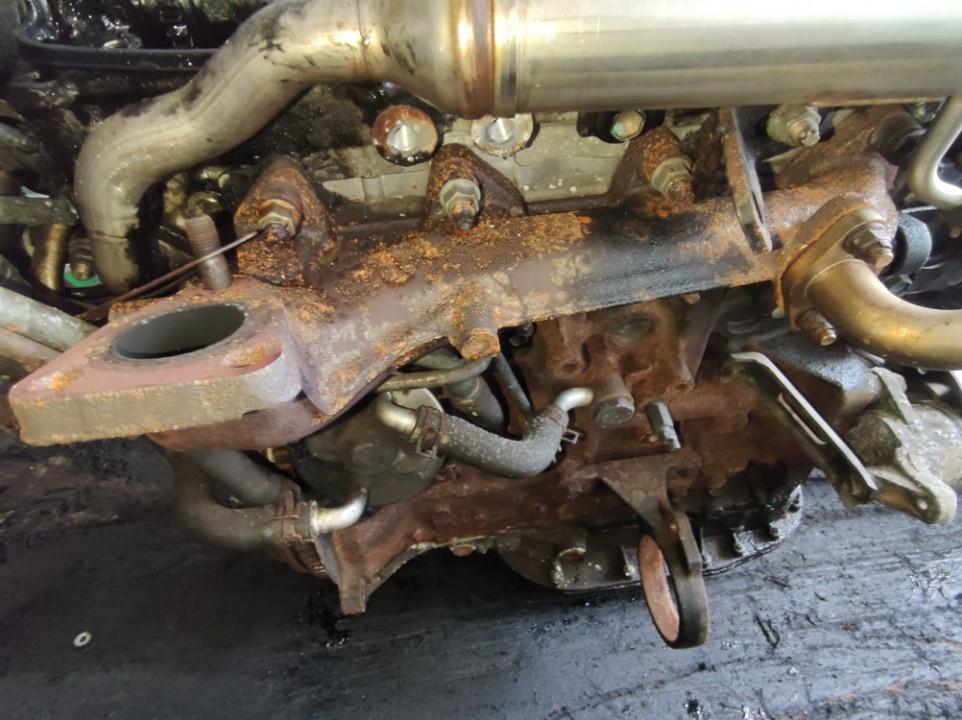 Toyota Corolla 2003 Ismetimo kolektorius